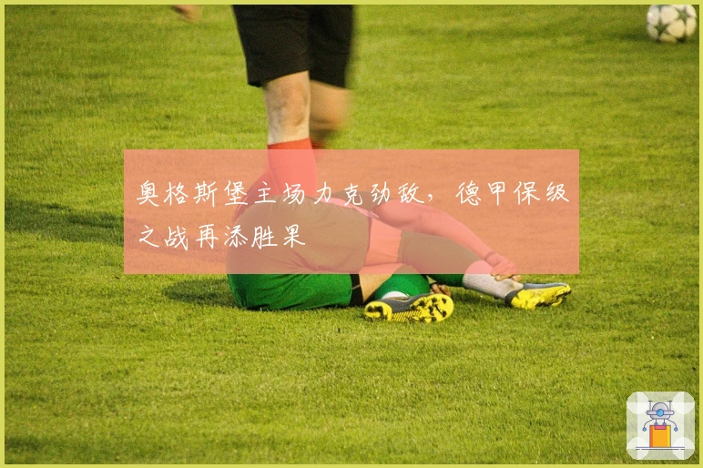 奥格斯堡主场力克劲敌，德甲保级之战再添胜果