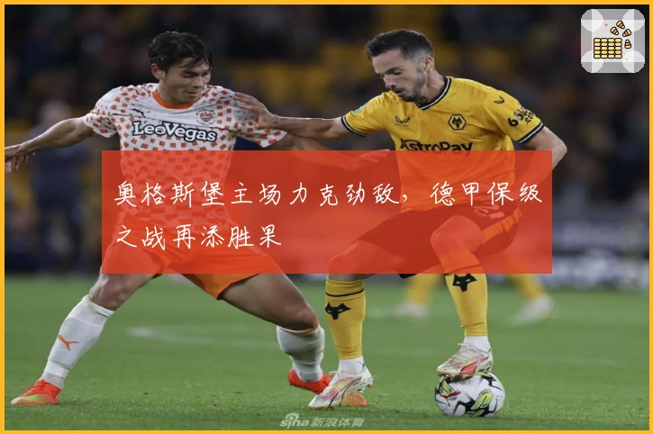 奥格斯堡主场力克劲敌，德甲保级之战再添胜果